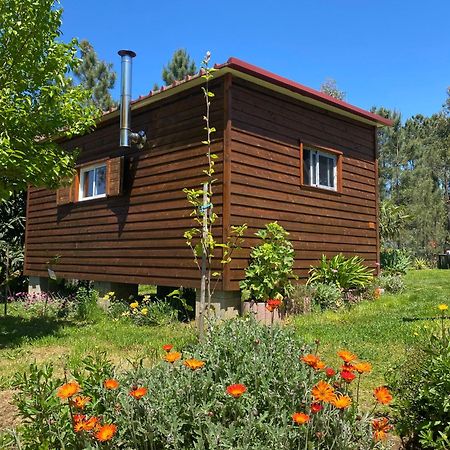 Vila Casa Carini Sertã Exteriér fotografie