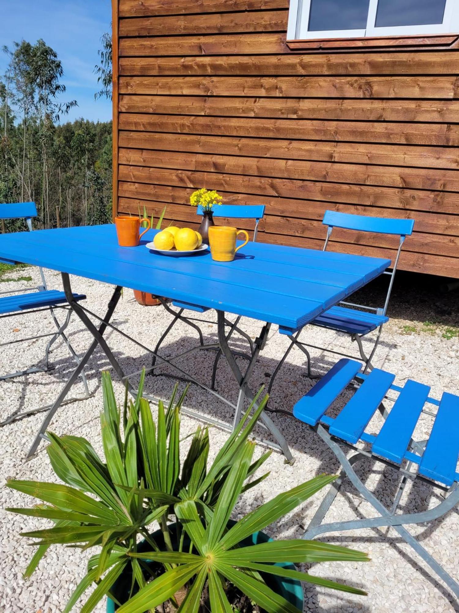 Vila Casa Carini Sertã Exteriér fotografie