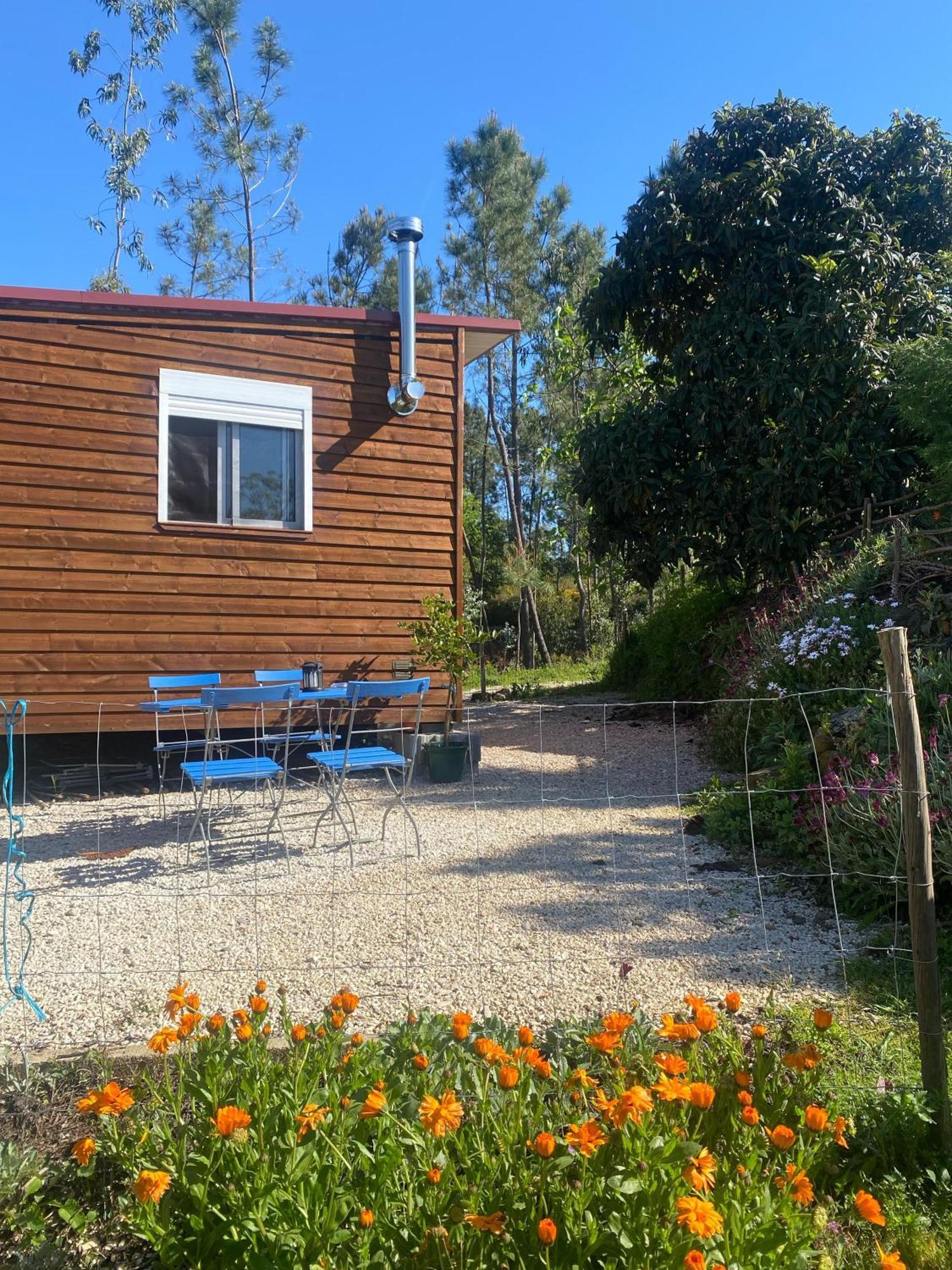 Vila Casa Carini Sertã Exteriér fotografie